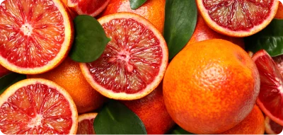 image-7.webp